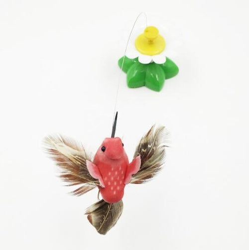 Electric Enchanting Rotating Flower Pet Toy