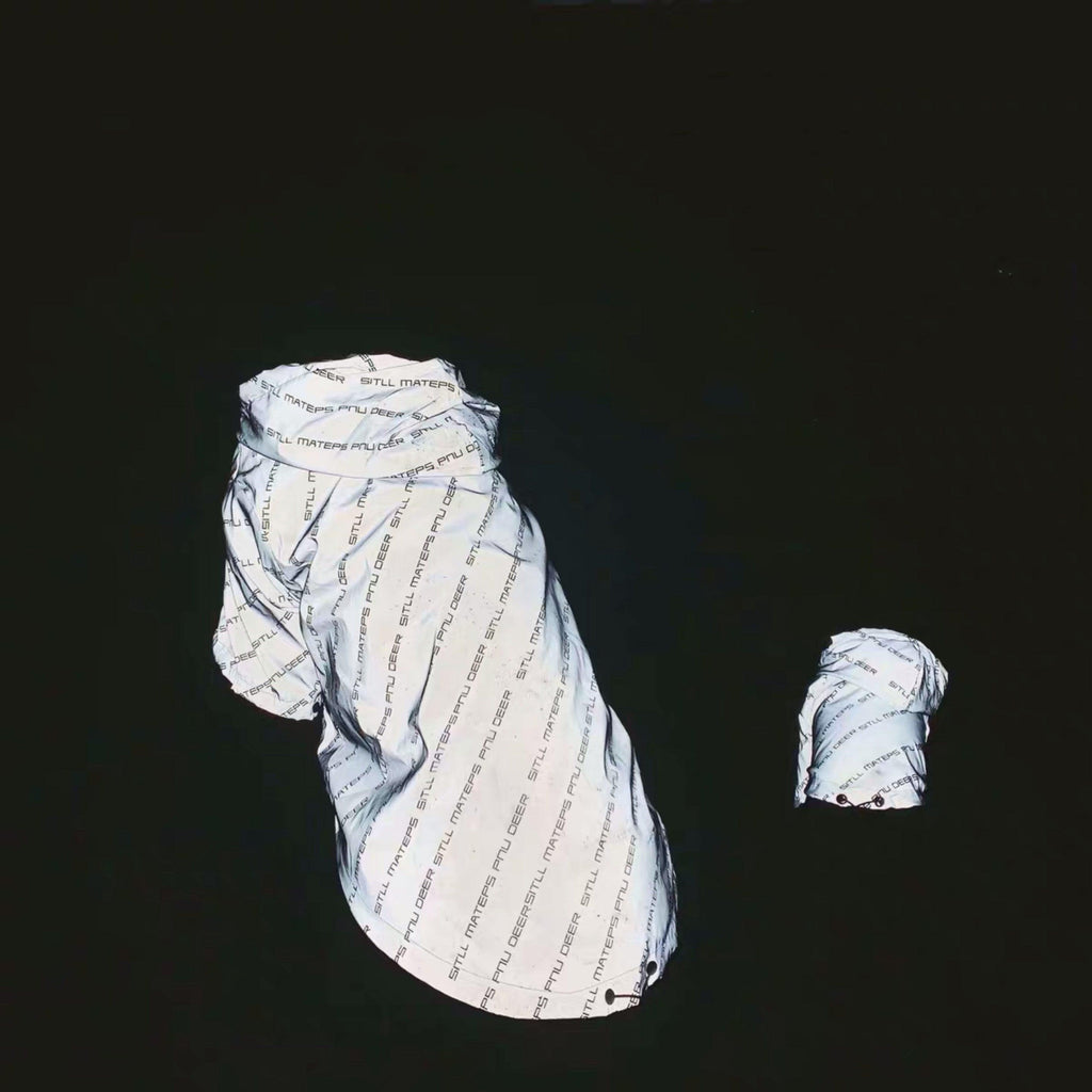 Pet Shield: Weatherproof Reflective Pet Clothing