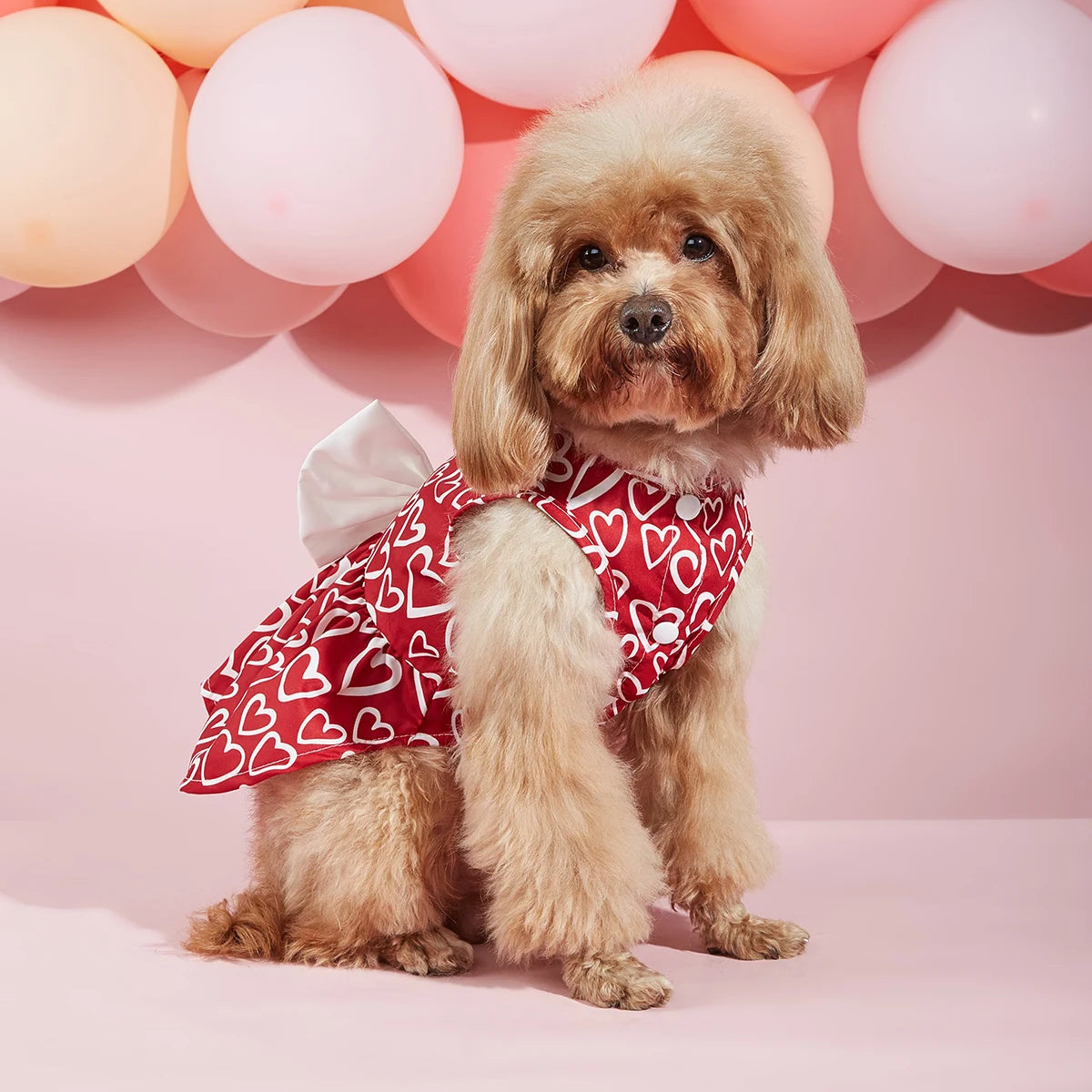 Valentine’s Day Pet Dress with Heart Design & Bow ❤️🐾