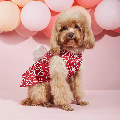 Valentine’s Day Pet Dress with Heart Design & Bow ❤️🐾