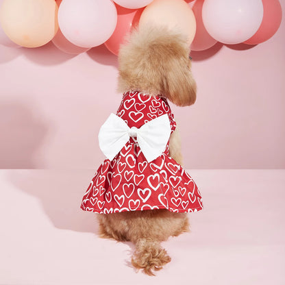 Valentine’s Day Pet Dress with Heart Design & Bow ❤️🐾