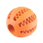 Interactive Dog Treat Ball Feeder
