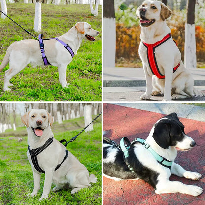 Adjustable Reflective Dog Harness with Handle for Small & Medium Dogs 🐶