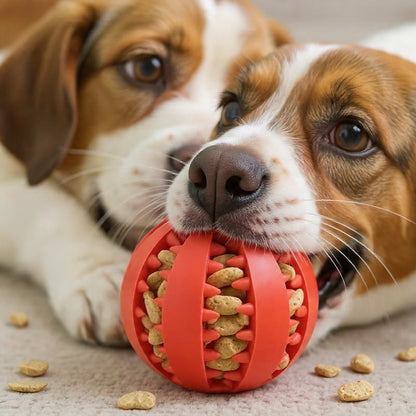 Interactive Dog Treat Ball Feeder