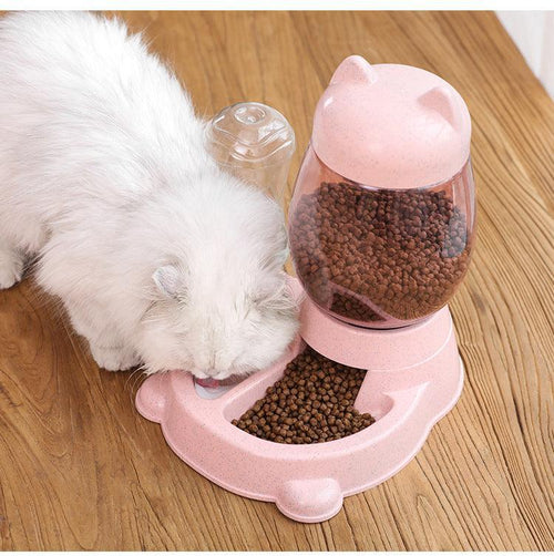 Automatic Pet Food And Water Dispenser