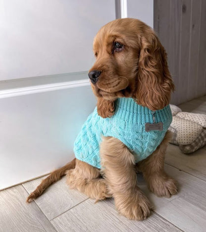 Knit Sweater for Small Dogs – Warm & Comfortable