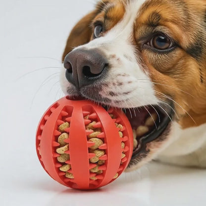 Interactive Dog Treat Ball Feeder